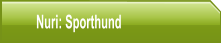 Nuri: Sporthund