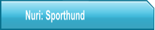 Nuri: Sporthund