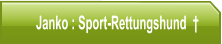 Janko : Sport-Rettungshund  
