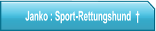 Janko : Sport-Rettungshund  